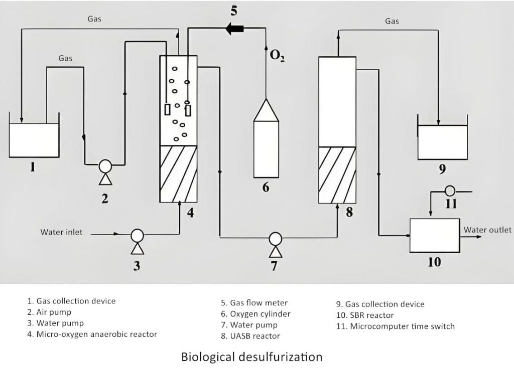Biological desulfurization