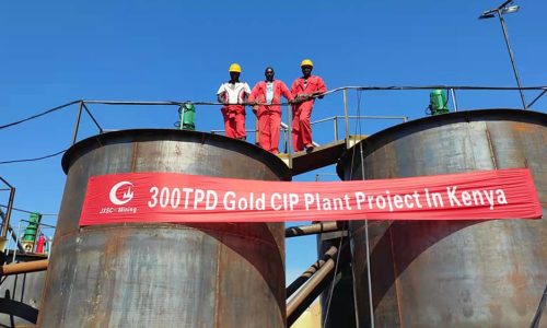 300TPD Gold CIP Processing Plant in Kenya